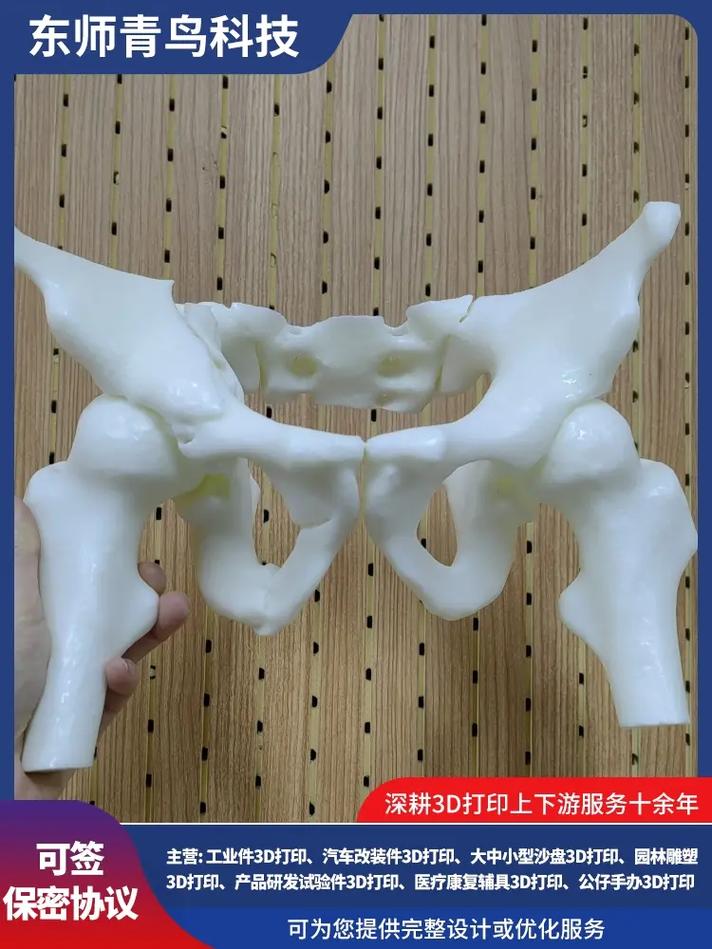 工业3d打印.长春青鸟科技工业3d打印多少钱,3d打印服务