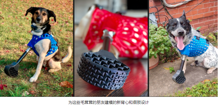 快、准、省,增材科技让动物重新站立奔跑